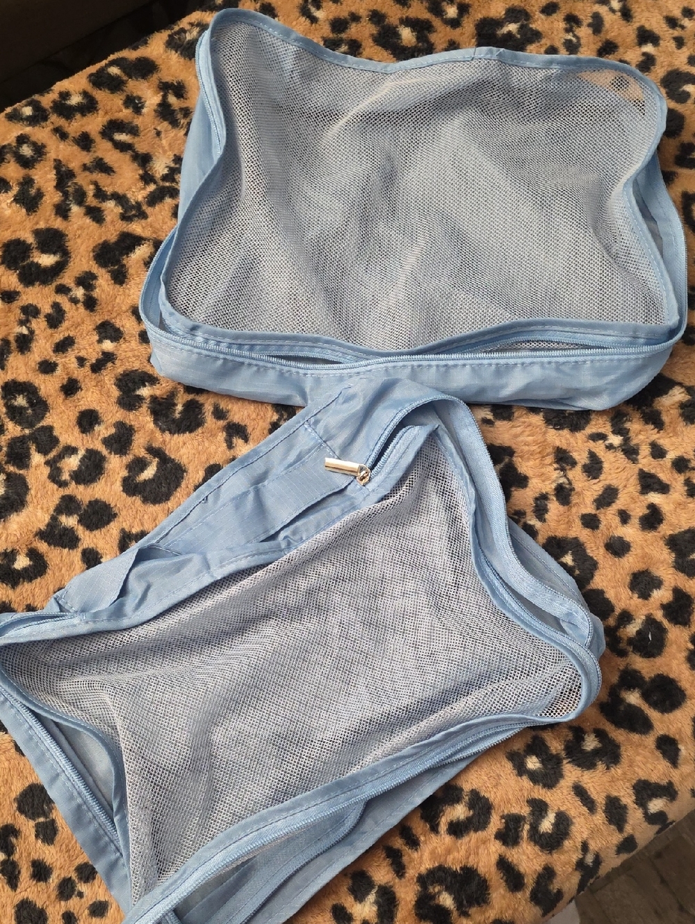 Two Blue Travel Bags
